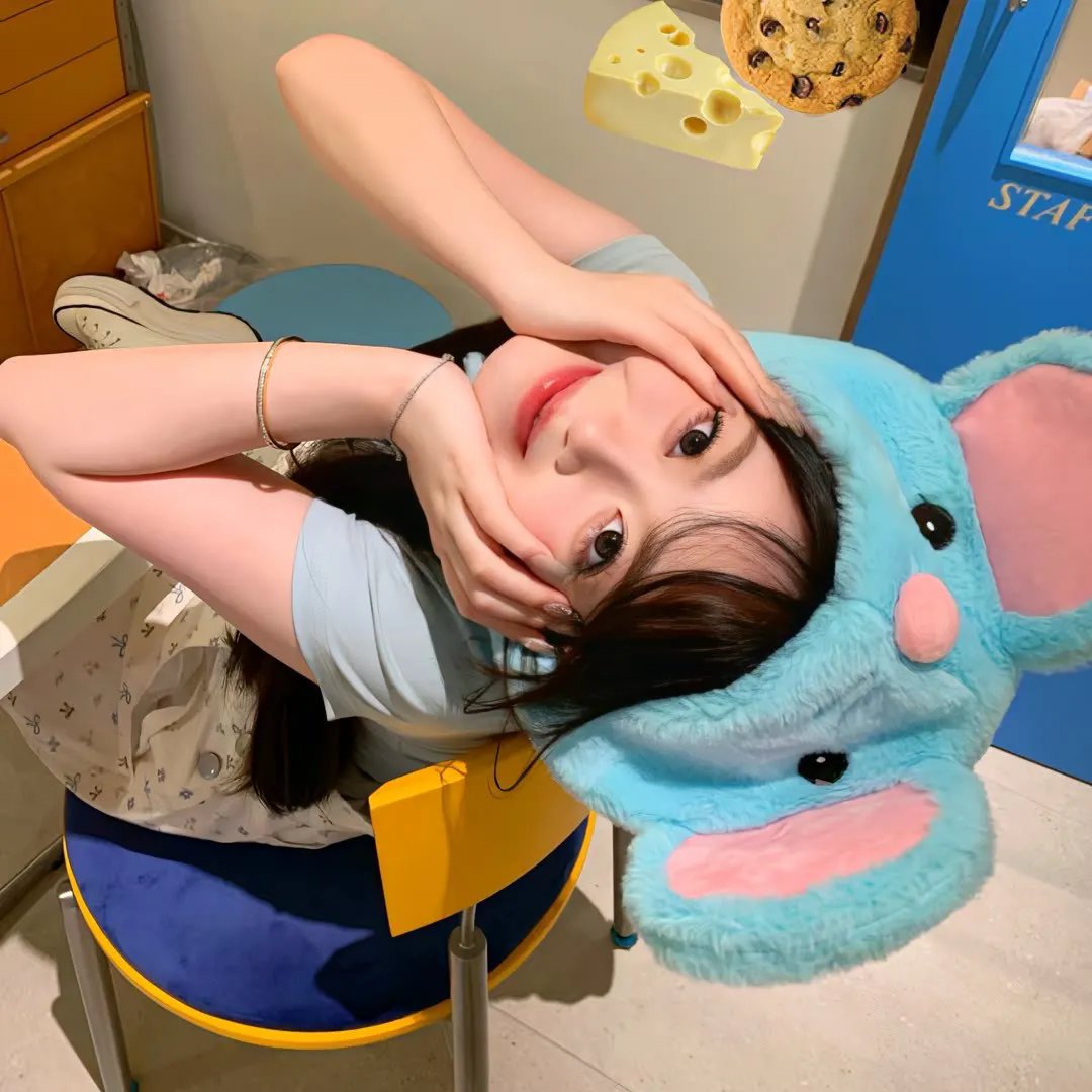 自由第一日