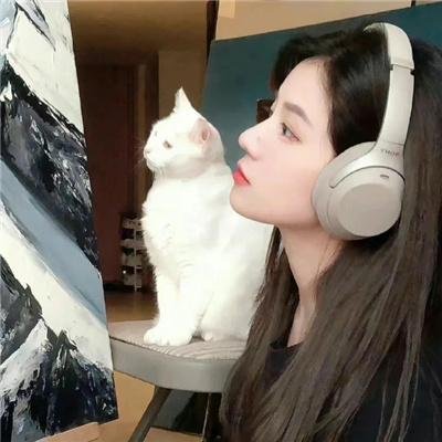 剧集精选